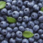 blueberries are one of the recommended foods for cancer prevention