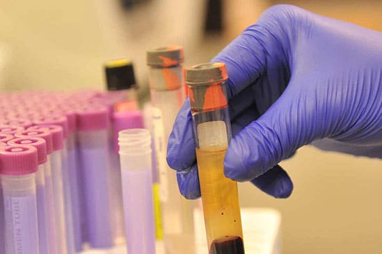 Laboratory Testing