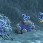Monoclonal antibody treatment in Pancreatic cancer - closeup view 3d illustration